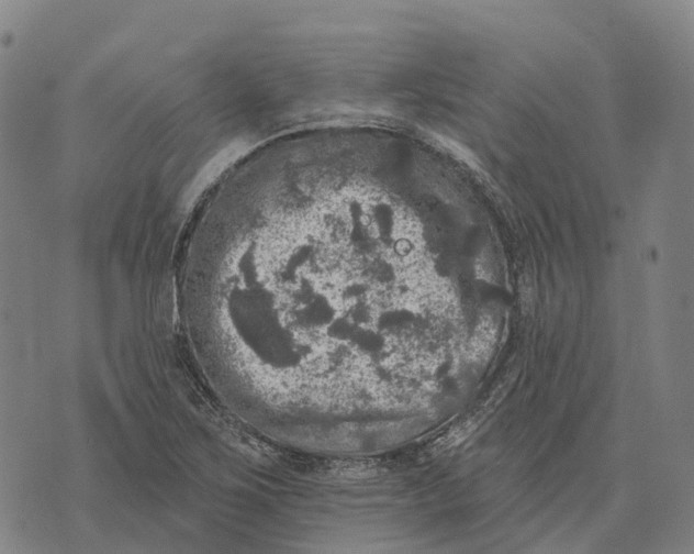 X0000073891267200609011644