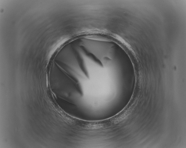 X0000073891269200609011644