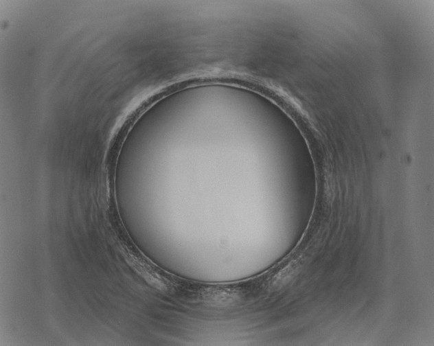 X0000073891270200609011644