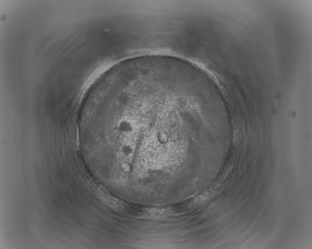 X0000073891271200609011644