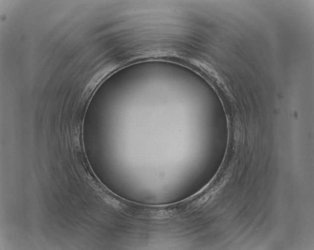 X0000073891273200609011644