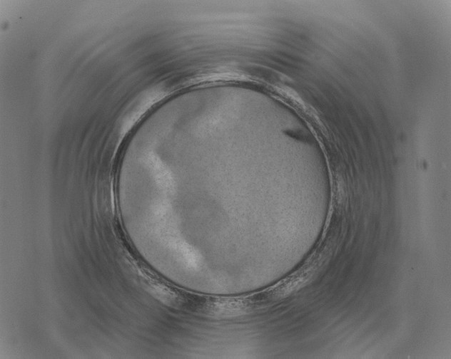 X0000073891274200609011644