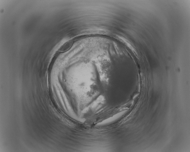 X0000073891275200609011644