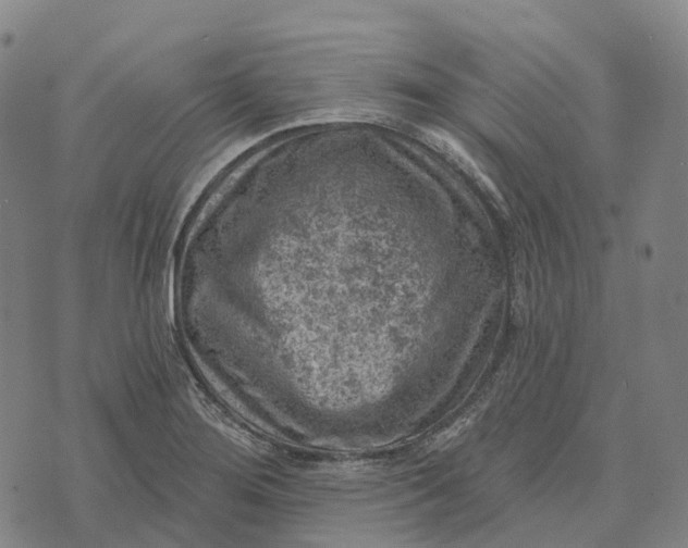 X0000073891276200609011644