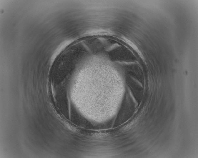 X0000073891277200609011644