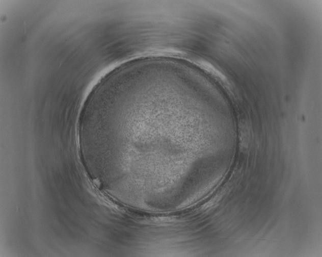 X0000073891280200609011644