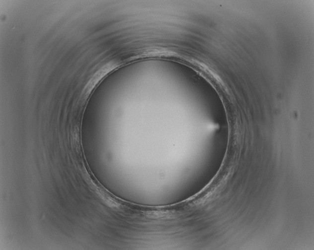 X0000073891281200609011644