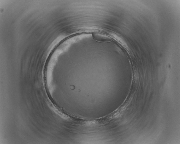 X0000073891283200609011644