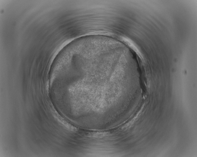 X0000073891284200609011644