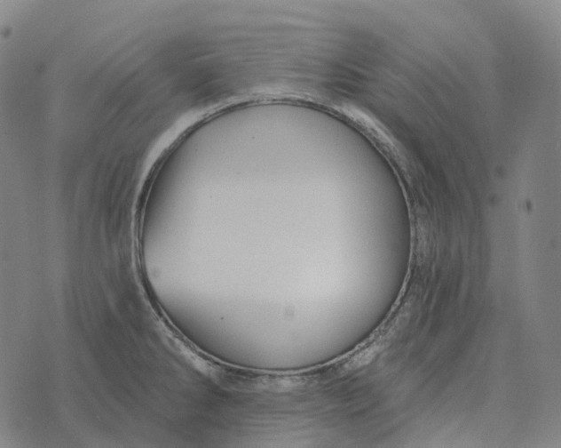 X0000073891286200609011644