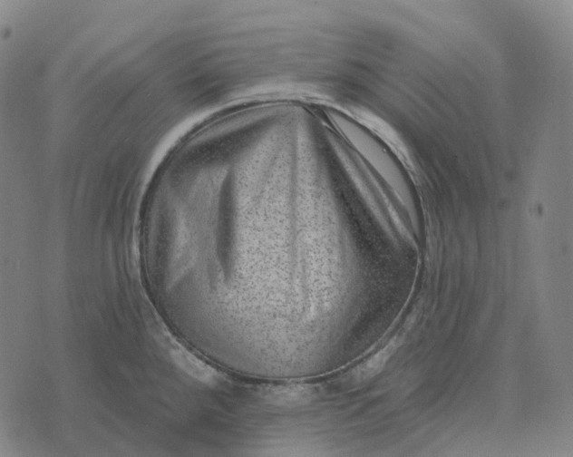 X0000073891288200609011644