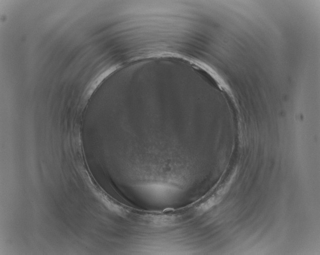 X0000073891289200609011644