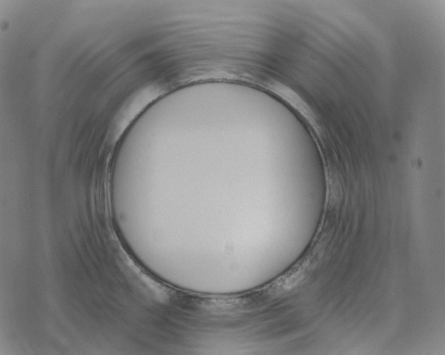 X0000073891290200609011644