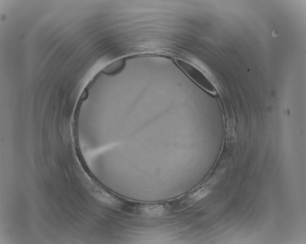 X0000073891291200609011644