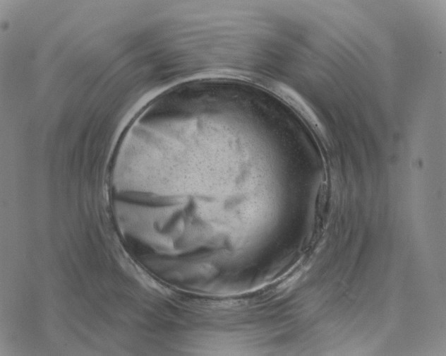 X0000073891292200609011644