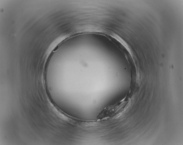 X0000073891293200609011644