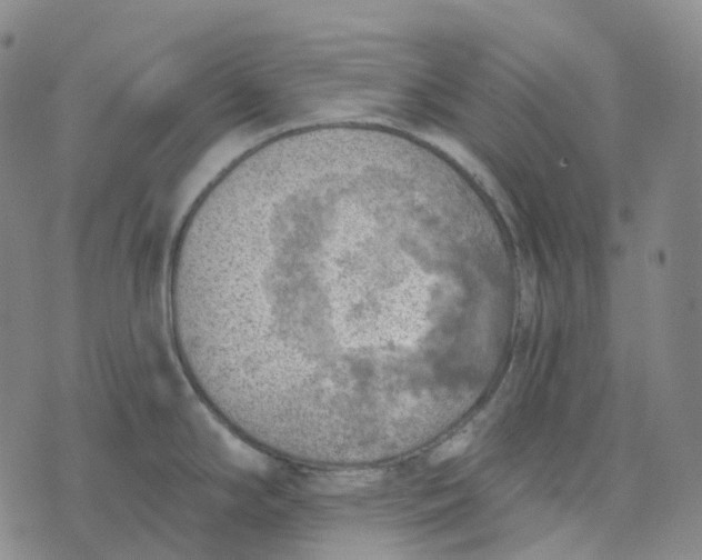 X0000073891294200609011644