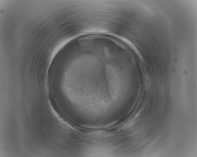 X0000073891295200609011644