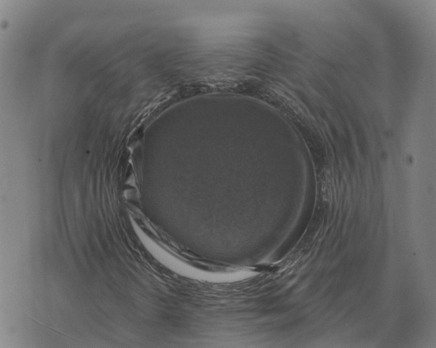 X0000073891298200609011643