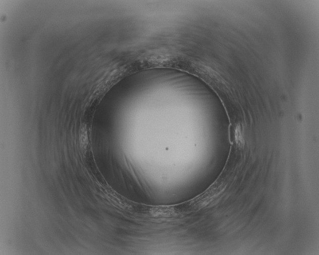 X0000073891299200609011643