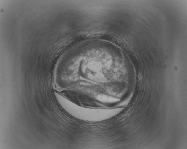 X0000073891300200609011643