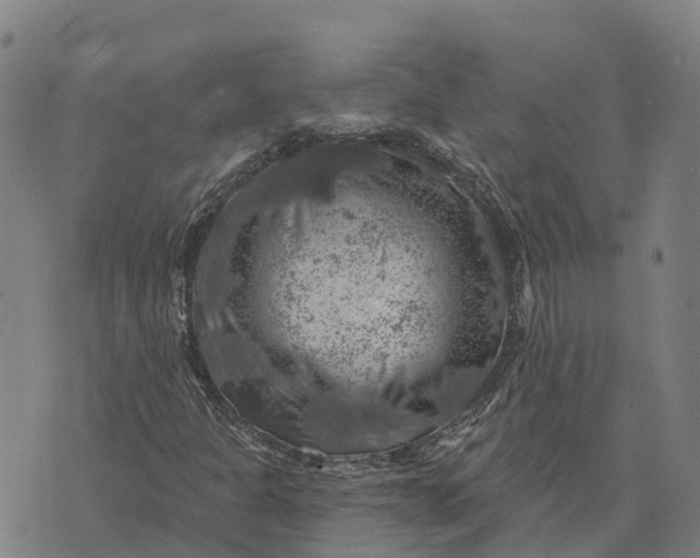 X0000073891301200609011643