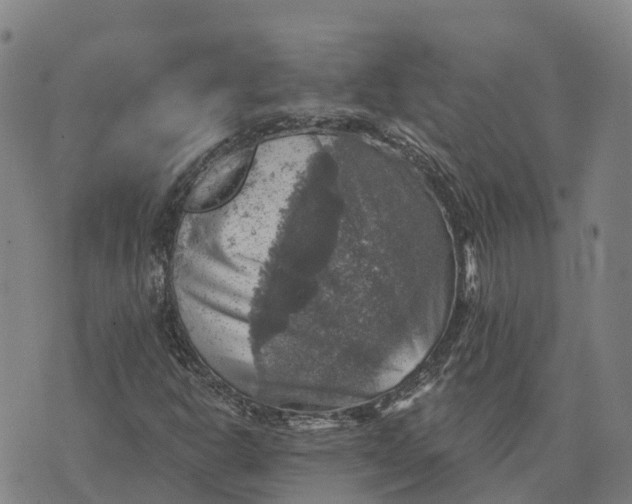 X0000073891302200609011643