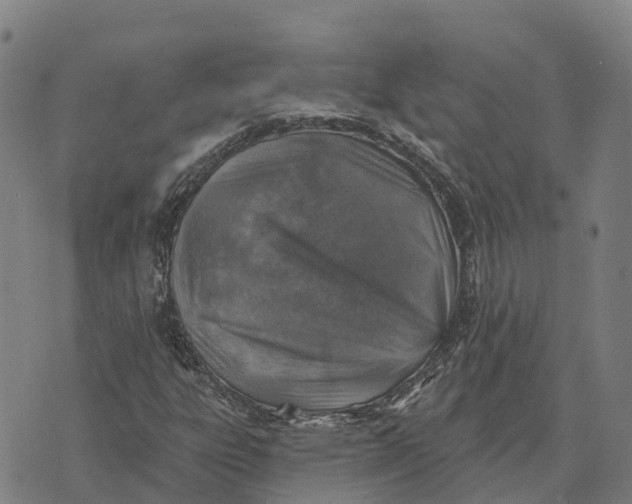 X0000073891303200609011643