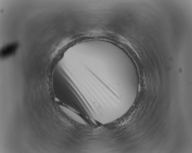 X0000073891304200609011643