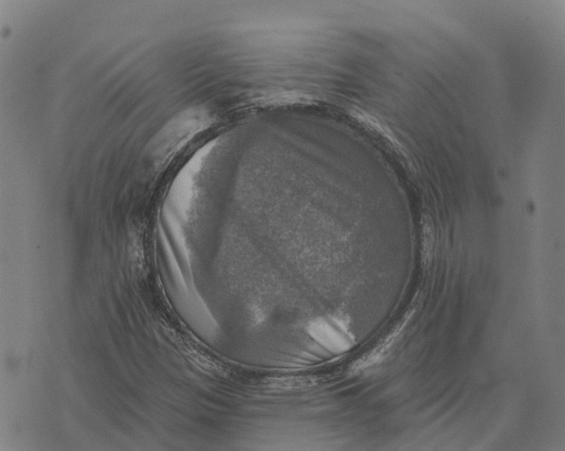 X0000073891305200609011643