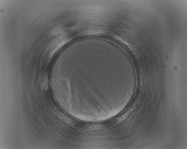 X0000073891306200609011643