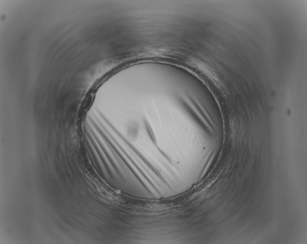 X0000073891308200609011643