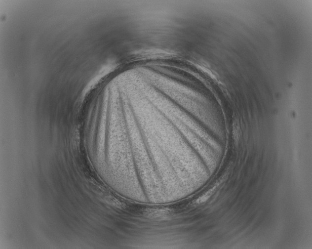 X0000073891309200609011643