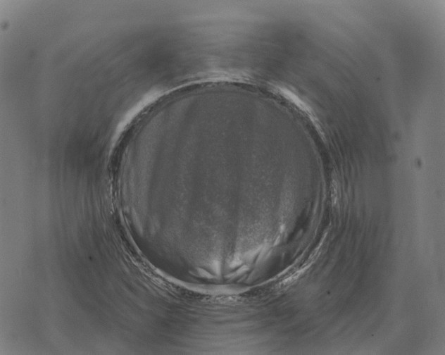 X0000073891310200609011643