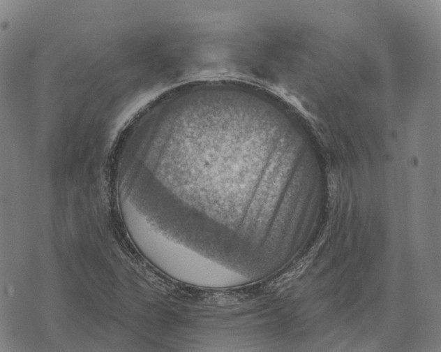 X0000073891311200609011643