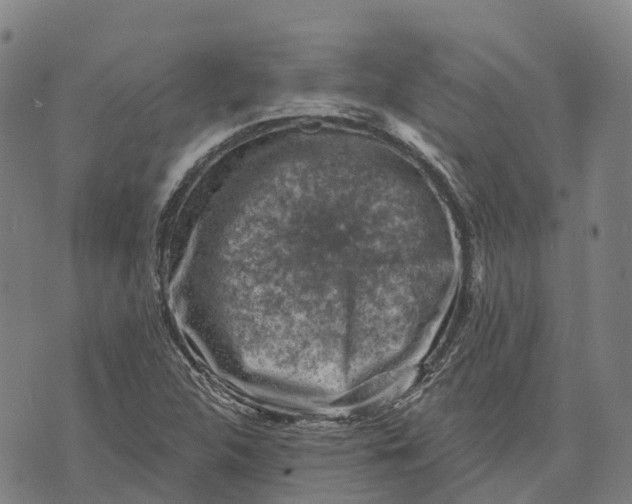 X0000073891312200609011643