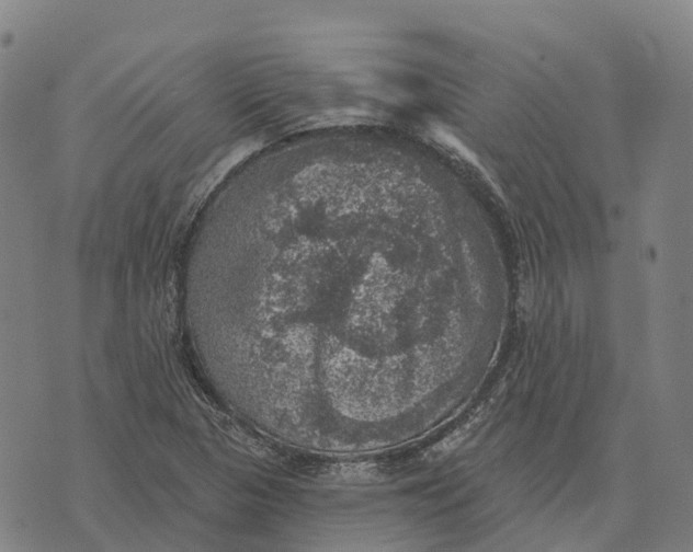 X0000073891313200609011643