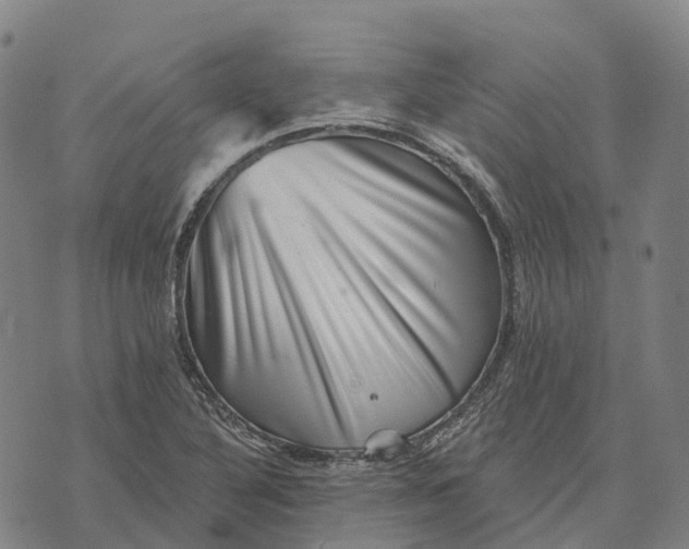 X0000073891316200609011643