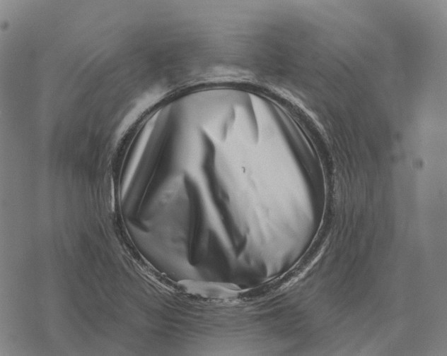 X0000073891317200609011643