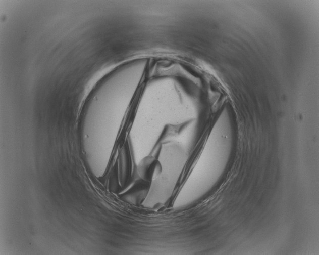 X0000073891320200609011643