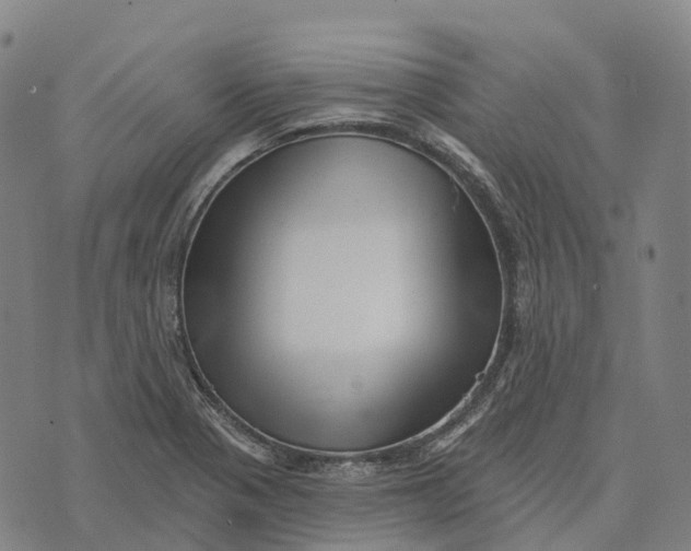 X0000073891321200609011643