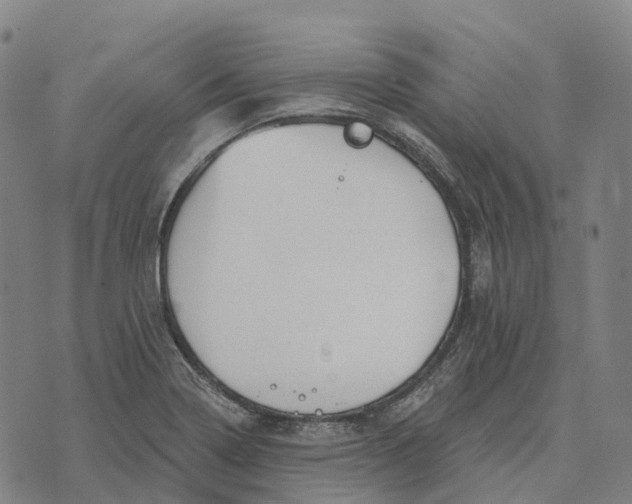 X0000073891322200609011643