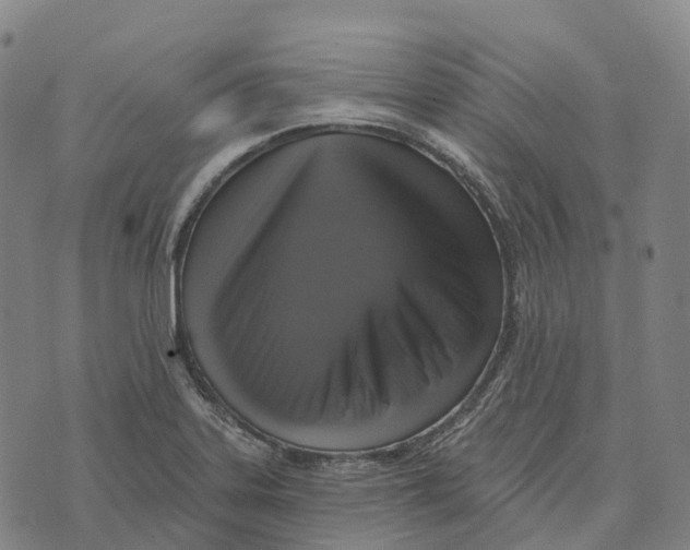 X0000073891323200609011643