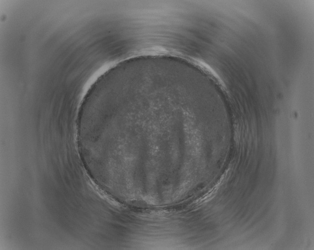 X0000073891326200609011643