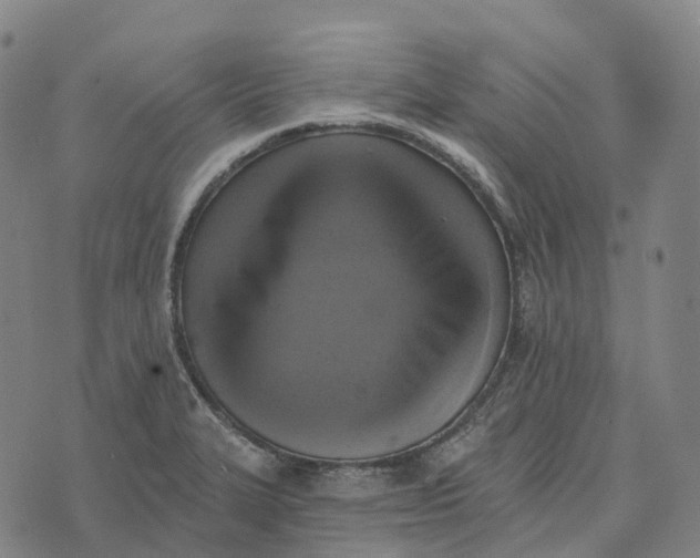 X0000073891327200609011643