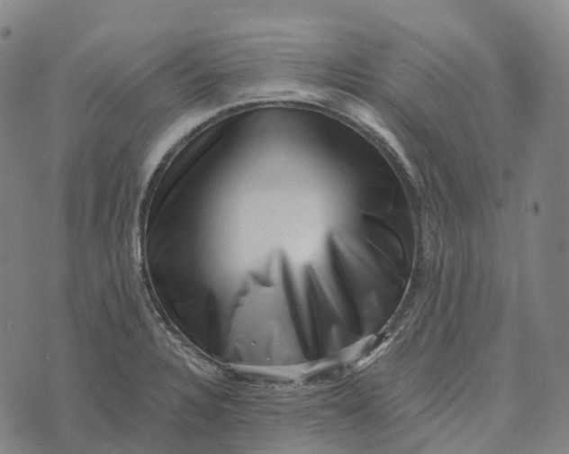 X0000073891328200609011643