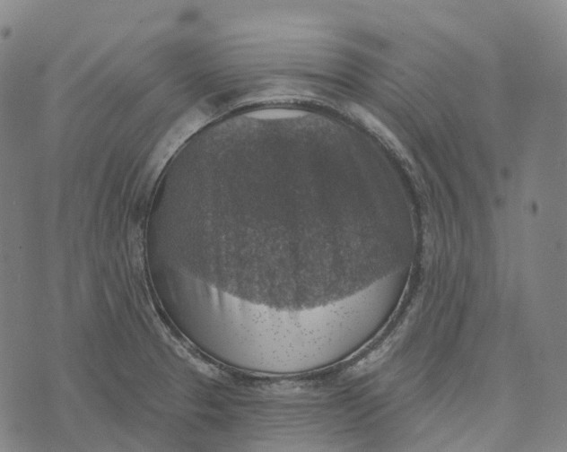 X0000073891329200609011643