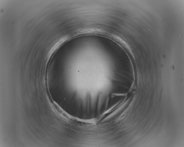 X0000073891330200609011643