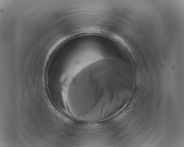 X0000073891331200609011643