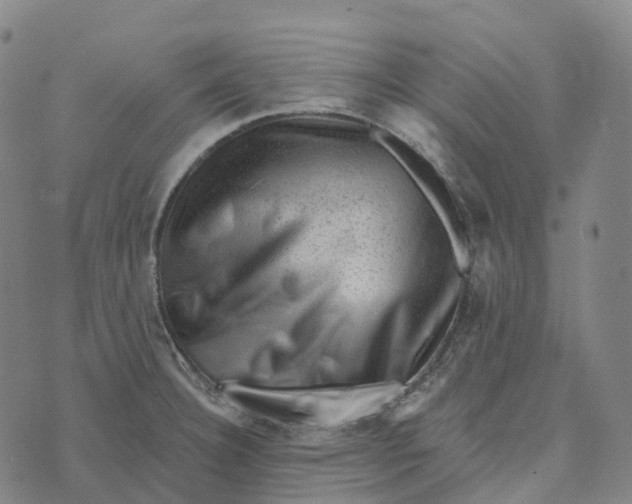 X0000073891332200609011643